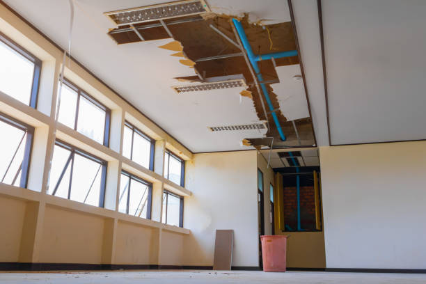 Best Water damage contractors near me  in Superior, WI