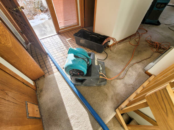 Best Flooded house restoration  in Superior, WI