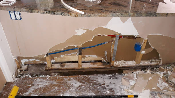 Best Water damage restoration specialists  in Superior, WI