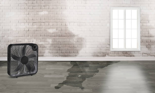 Best Sewage cleanup and water damage restoration  in Superior, WI