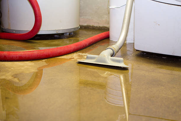Best Commercial water damage restoration  in Superior, WI