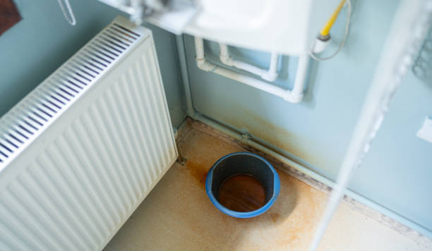 Best Mold removal after water damage  in Superior, WI