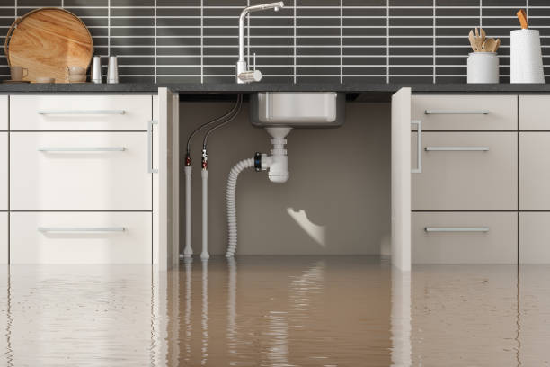 Best Water damage contractors near me  in Superior, WI