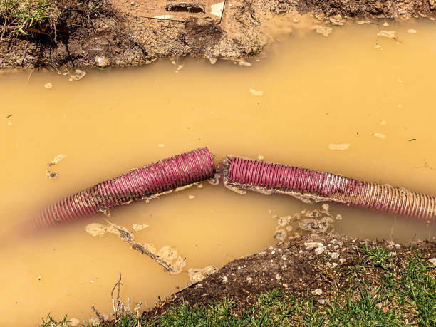 Best Flood damage cleanup  in Superior, WI