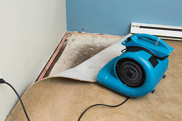 Best Fire Damage Restoration  in Superior, WI